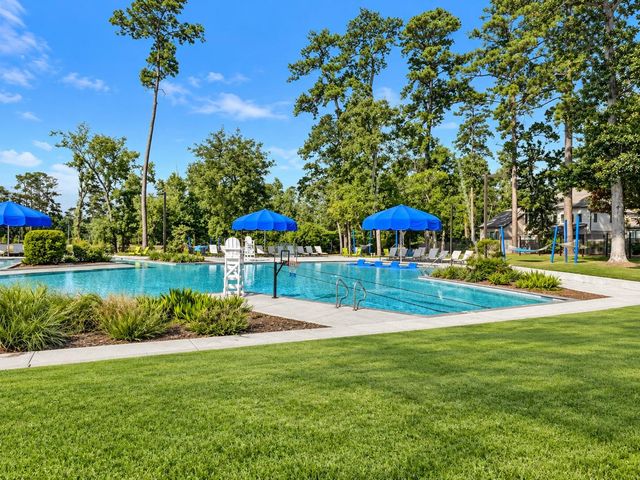 146 Dove Springs Court, Conroe, TX 77304