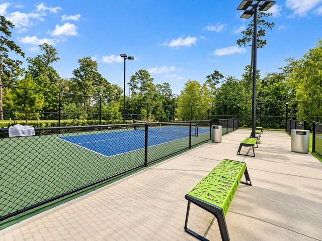146 Dove Springs Court, Conroe, TX 77304