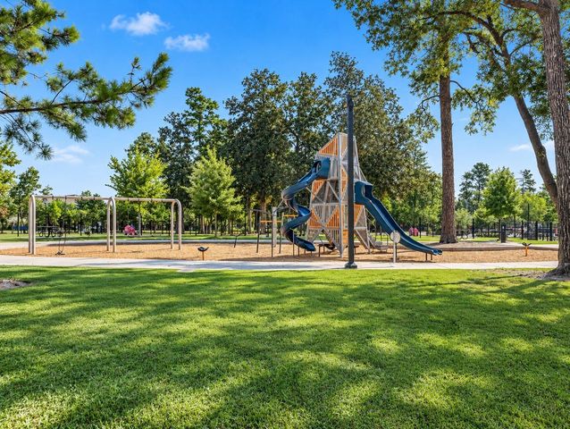 146 Dove Springs Court, Conroe, TX 77304