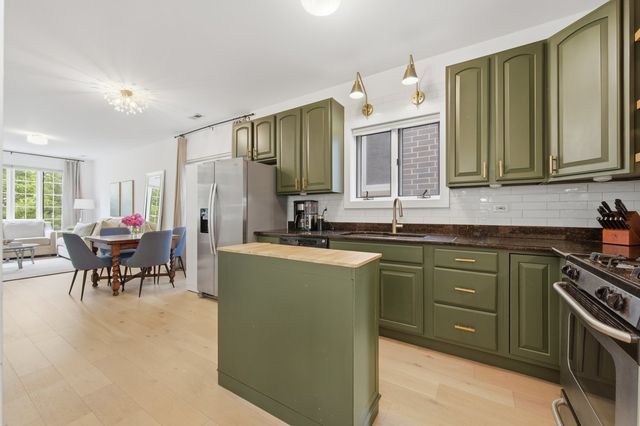 1333 N Bosworth Avenue 2, Chicago, IL 60642