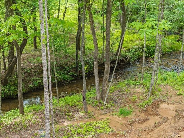 148 Brookwood Drive, Blue Ridge, GA 30513