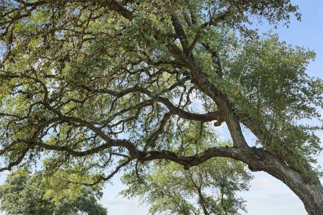 TBD W Fm 1291 Tract 2, Round Top, TX 78954