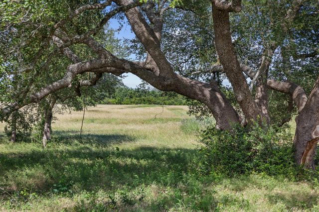 TBD W Fm 1291 Tract 2, Round Top, TX 78954