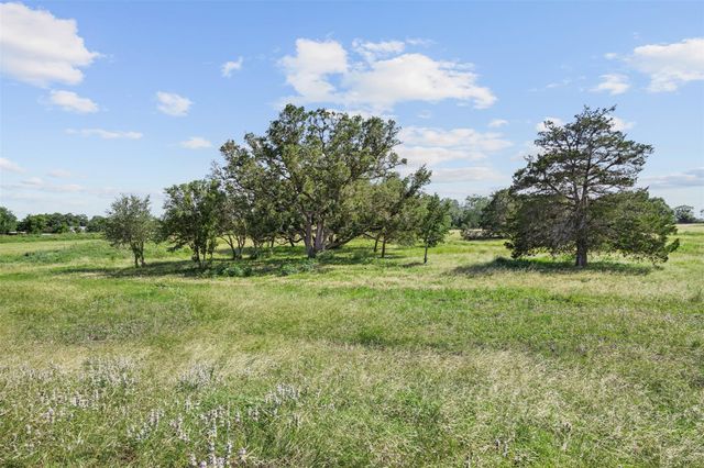 TBD W Fm 1291 Tract 2, Round Top, TX 78954