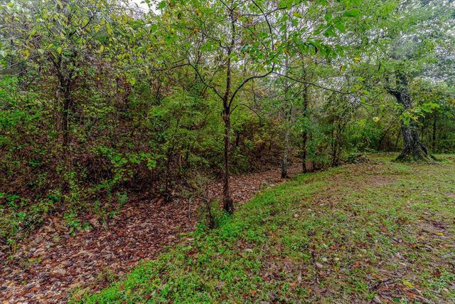 17 Duroc Drive, Cherokee Village, AR 72529