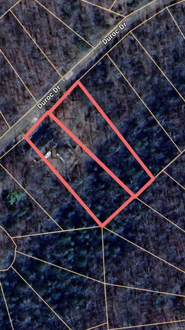 17 Duroc Drive, Cherokee Village, AR 72529