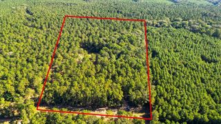 609 Gray Road, Coldspring, TX 77331