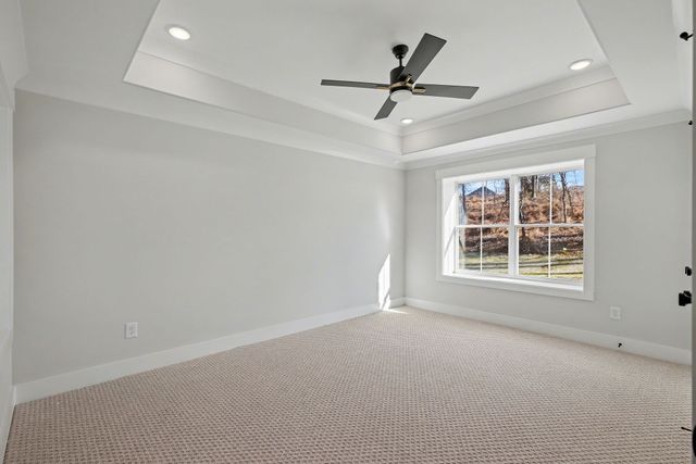 4813 Woodrow Pl, Arrington, TN 37014