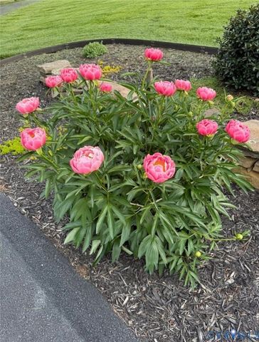 3828 Mill Mount Dr, Powhatan, VA 23139