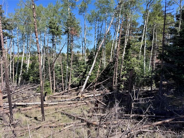 Lot 1102 Emery Loop, Fort Garland, CO 81152