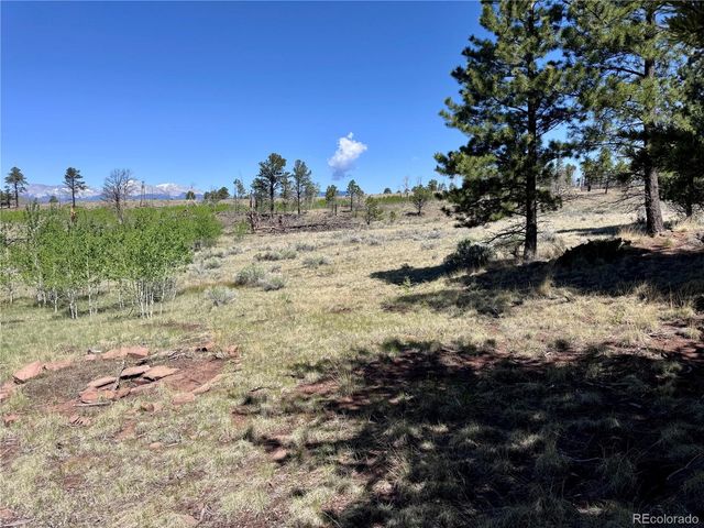 Lot 1102 Emery Loop, Fort Garland, CO 81152