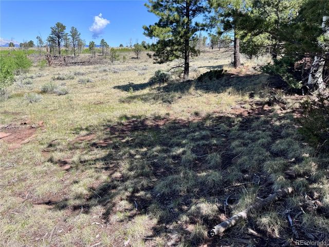 Lot 1102 Emery Loop, Fort Garland, CO 81152