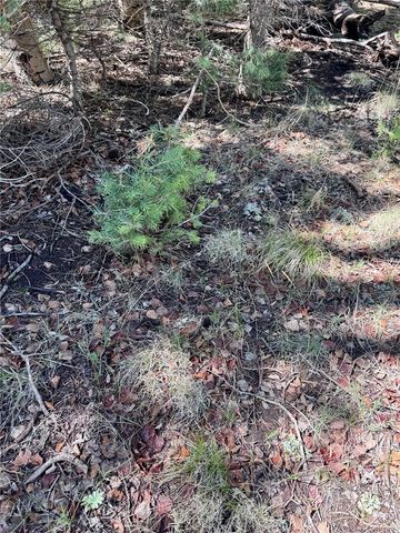 Lot 1102 Emery Loop, Fort Garland, CO 81152