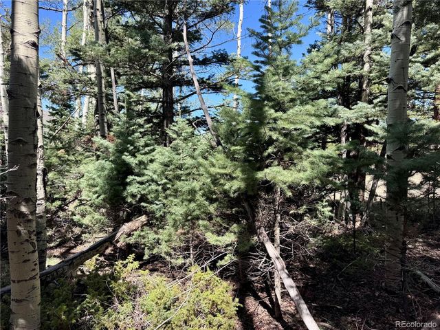 Lot 1102 Emery Loop, Fort Garland, CO 81152