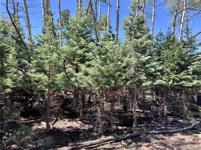Lot 1102 Emery Loop, Fort Garland, CO 81152