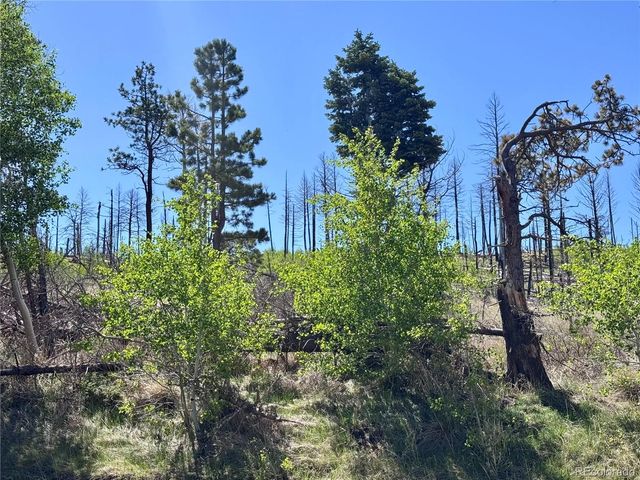 Lot 1102 Emery Loop, Fort Garland, CO 81152
