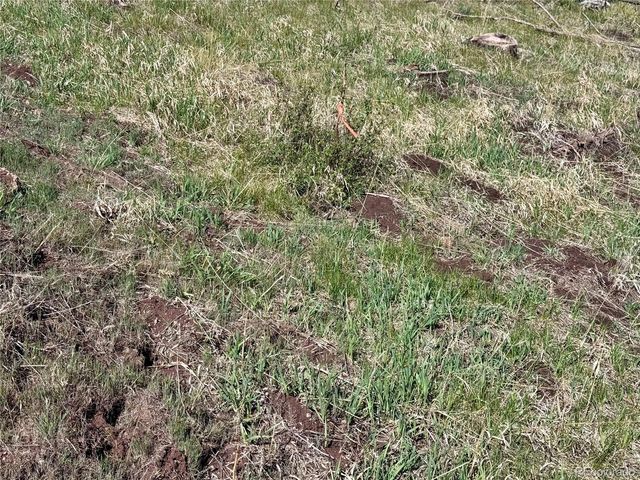 Lot 1102 Emery Loop, Fort Garland, CO 81152