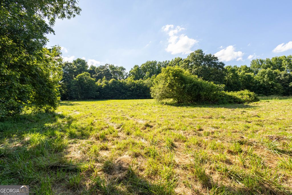 248 Starrs Bridge Road TRACT 1, Canon, GA 30520 — photo 3
