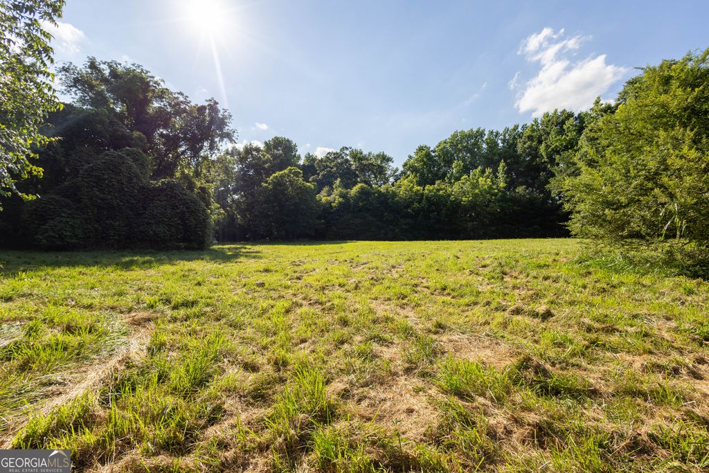 248 Starrs Bridge Road TRACT 1, Canon, GA 30520 — photo 4