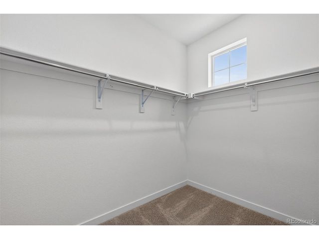 6311 Stable View St, Castle Pines, CO 80108