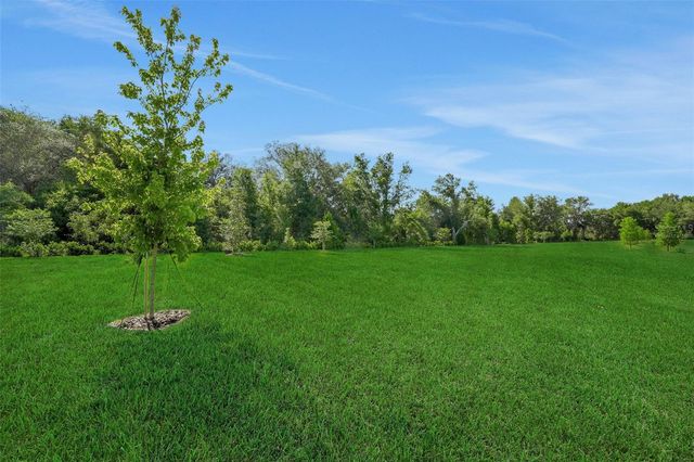 784 SUNSHOWER DRIVE, Lady Lake, FL 32159