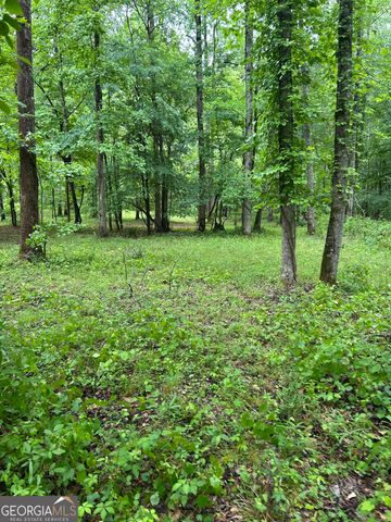 565 Hawks Trail, Newborn, GA 30056