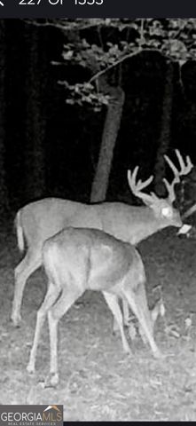 565 Hawks Trail, Newborn, GA 30056