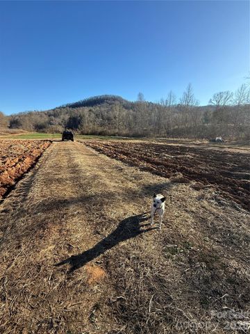 000 Old Fort Sugar Hill Road, Marion, NC 28752