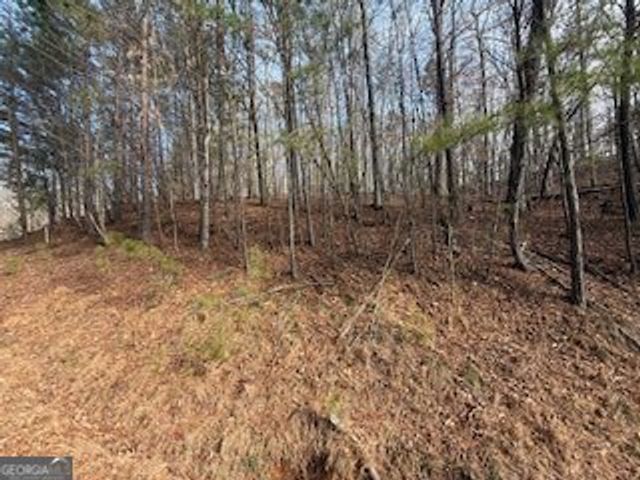 LOT 2119 Newport Drive 2119, Ellijay, GA 30540