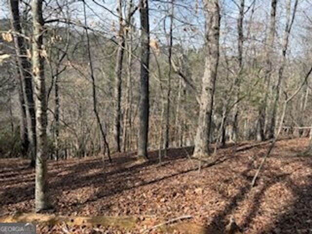LOT 2119 Newport Drive 2119, Ellijay, GA 30540