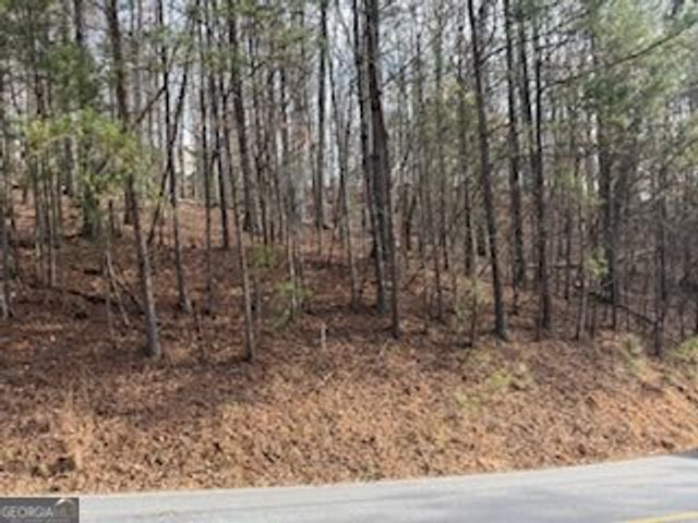 LOT 2119 Newport Drive 2119, Ellijay, GA 30540