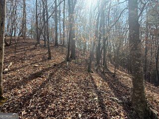 LOT 2119 Newport Drive 2119, Ellijay, GA 30540