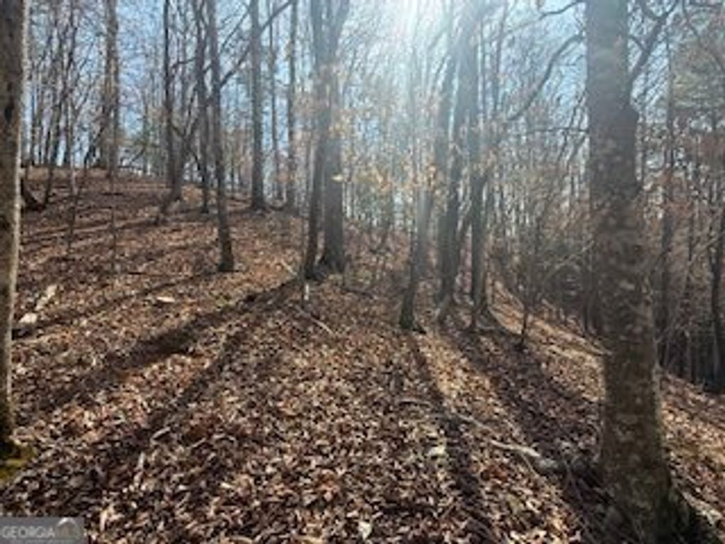LOT 2119 Newport Drive 2119, Ellijay, GA 30540