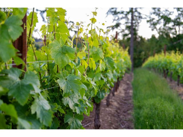 30460 Ne BELL Rd, Newberg, OR 97132