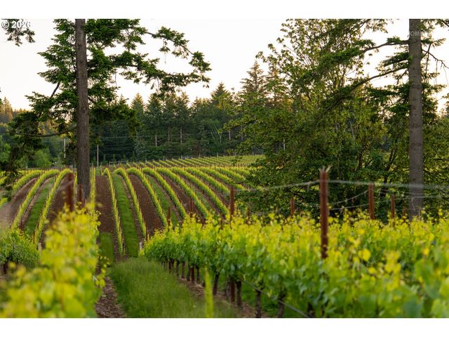 30460 Ne BELL Rd, Newberg, OR 97132
