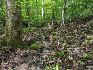 TBD Heritage Trail, Brasstown, NC 28902