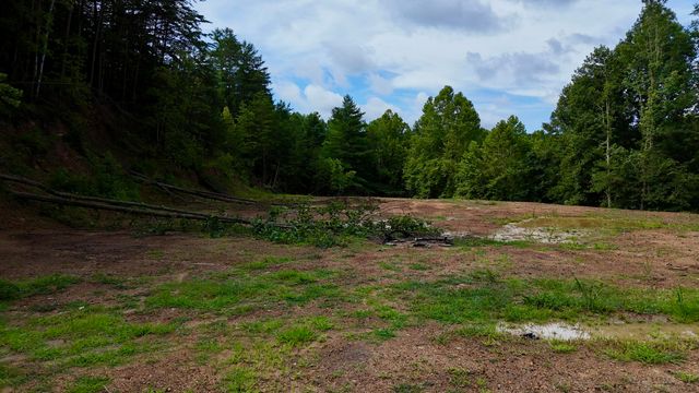 223 Bertha Hollow Road, Gray, KY 40734