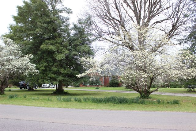 1329 Kenwood Dr, Nashville, TN 37216