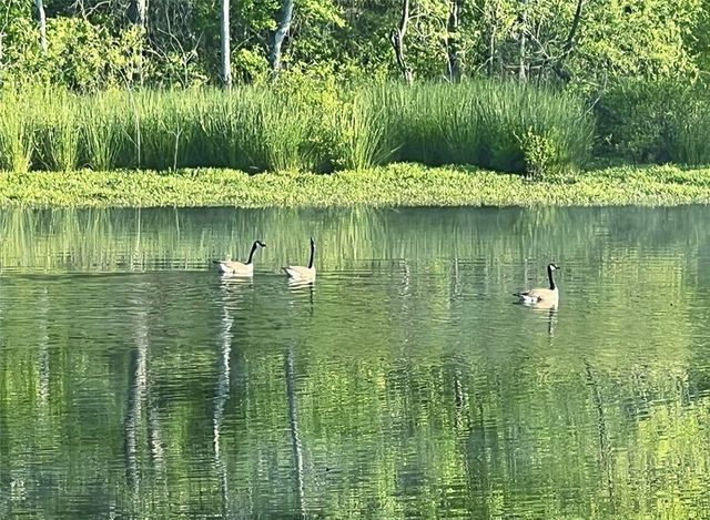 10972 Cowger Lane B, Dardanelle, AR 72834