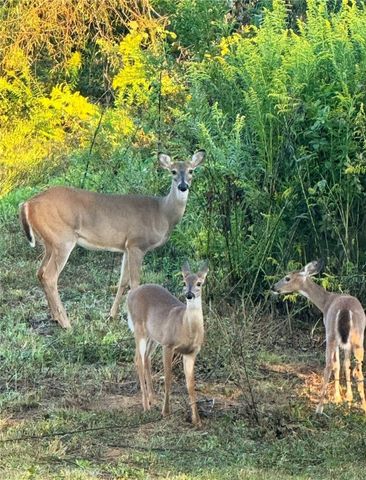 10972 Cowger Lane B, Dardanelle, AR 72834