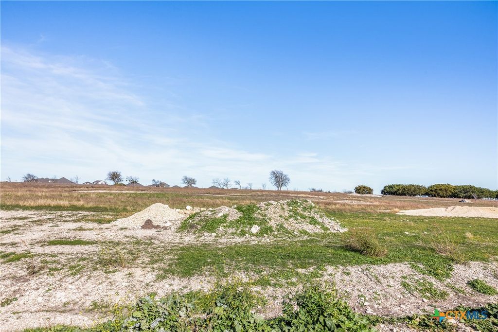 Image 8 of property listing at 15193 Plainview Drive, Salado, TX 76571