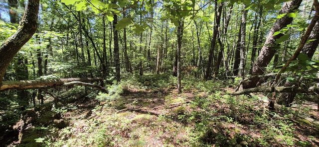 Lot 28 Laurel Ridge, Ellijay, GA 30522