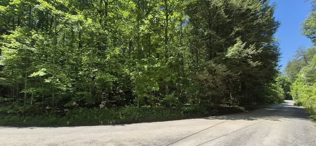 Lot 28 Laurel Ridge, Ellijay, GA 30522