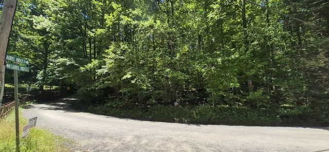 Lot 28 Laurel Ridge, Ellijay, GA 30522