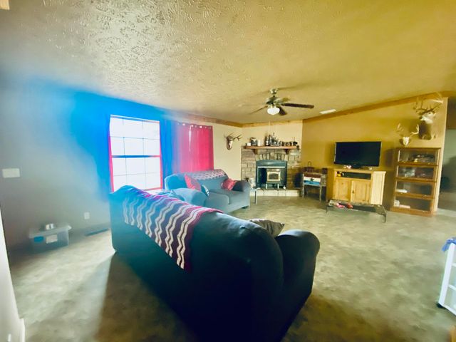 11 S Dade 203, Everton, MO 65646