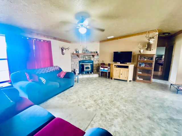 11 S Dade 203, Everton, MO 65646