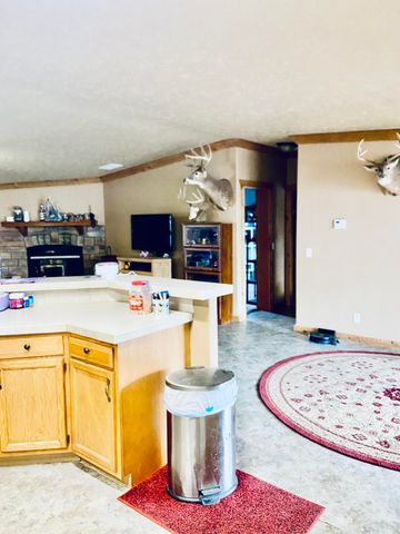 11 S Dade 203, Everton, MO 65646