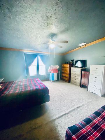 11 S Dade 203, Everton, MO 65646