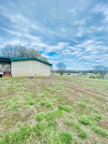 11 S Dade 203, Everton, MO 65646