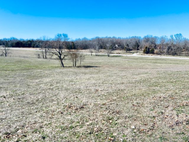 11 S Dade 203, Everton, MO 65646